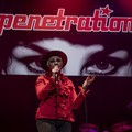 Click to enlarge GutterPunk - Professional Concert Photography